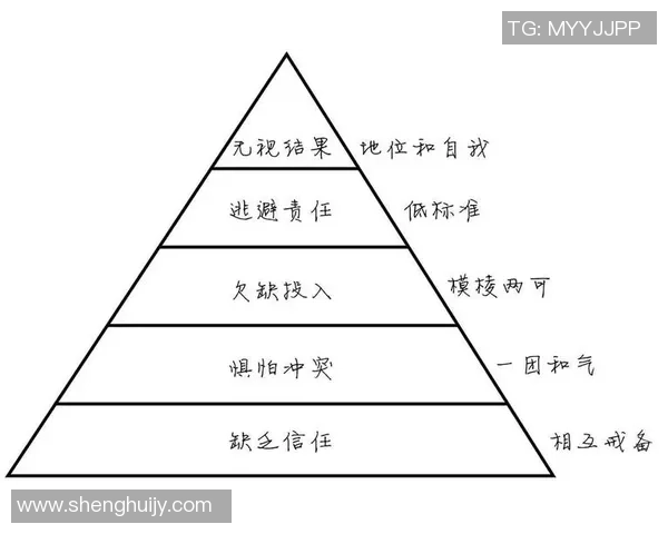 北京羽毛球队意识探讨：从竞技精神到团队协作的深度剖析与反思